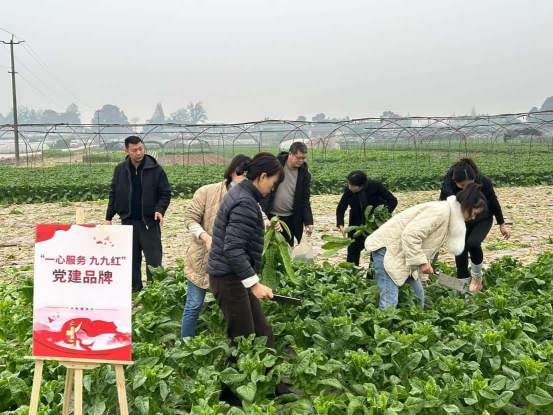 一九九商管公司党支部深入乡村一线开展十二月主题党日活动